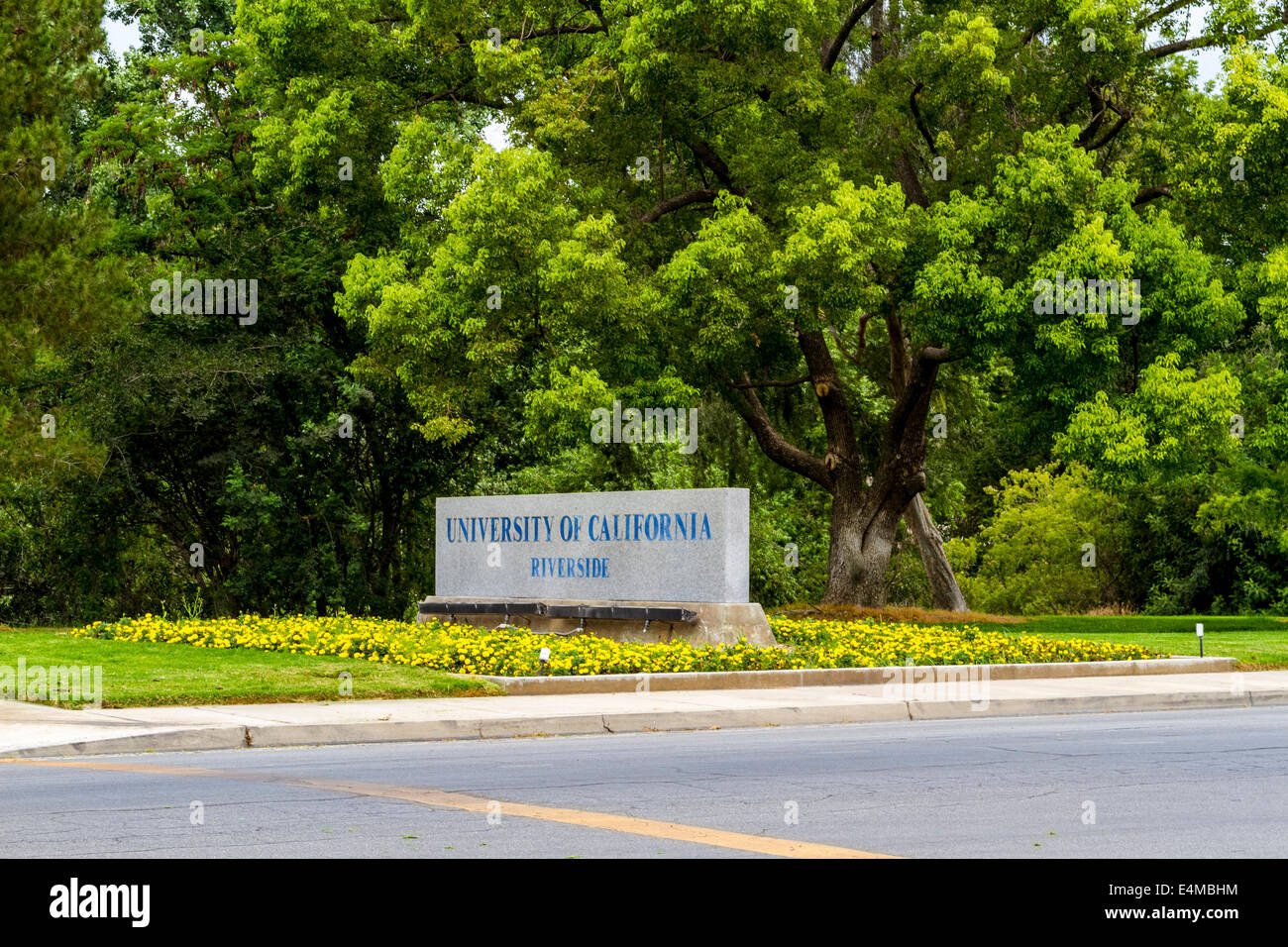 The University of California Campus in Riverside California USA Stock ...