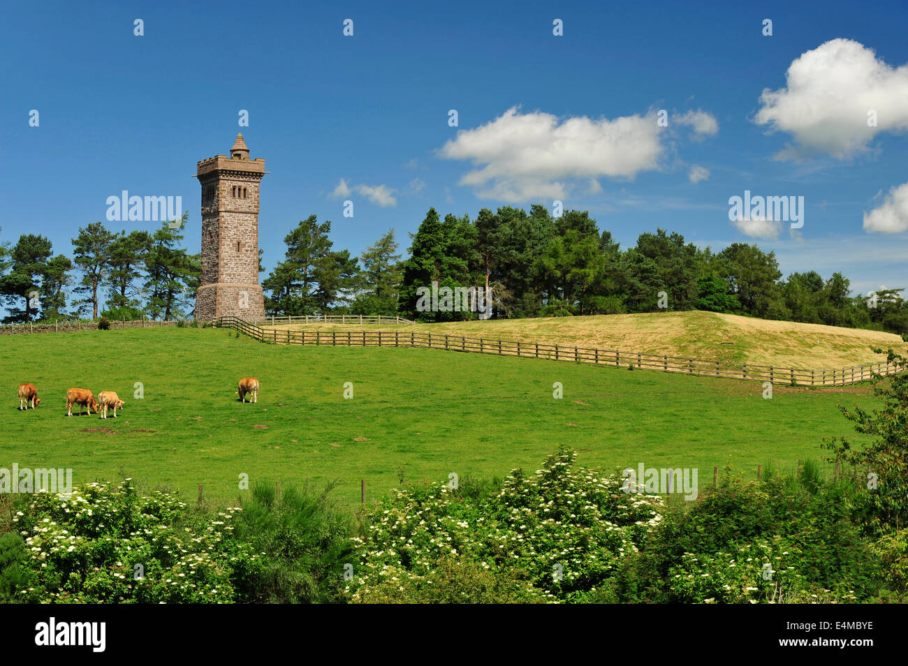 The Balmashanner Monument, Forfar, Angus, Scotland Stock Photo Alamy