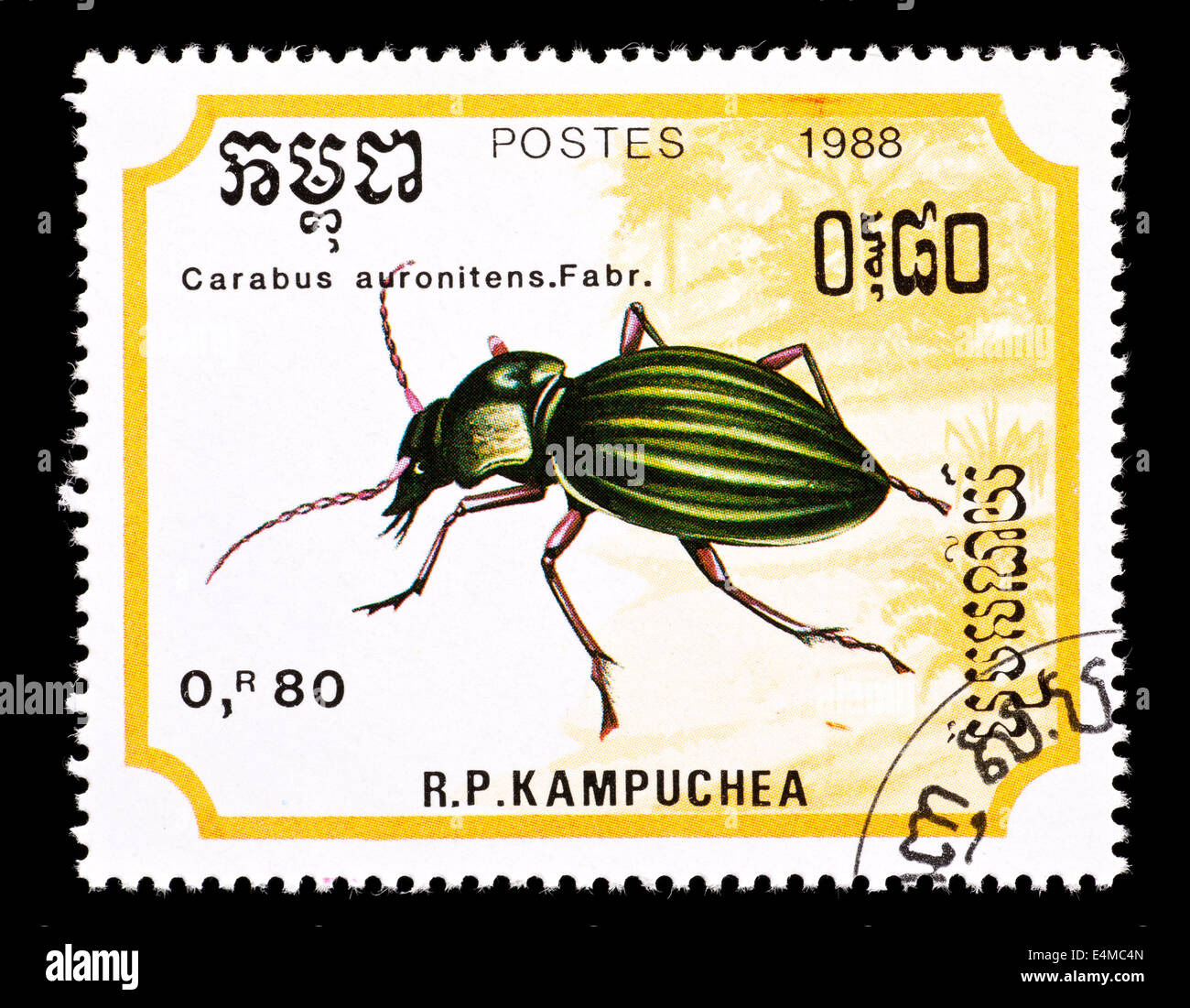 Postage stamp from Cambodia (Kampuchea) depicting a golden ground beetle (Carabus auronitens) Stock Photo