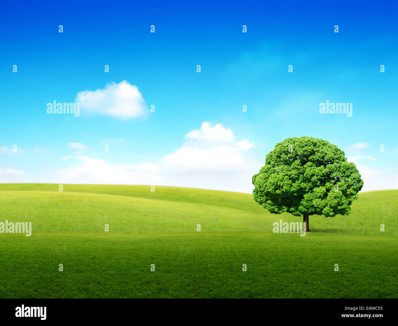 Green meadow with lonely tree and clouds Stock Photo - Alamy