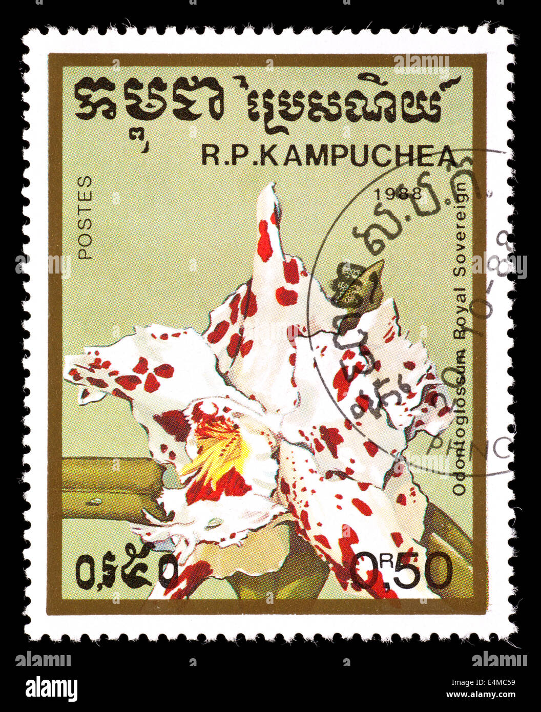 Postage stamp from Cambodia depicting the Odontoglossum orchid variety Royal Sovereign. Stock Photo