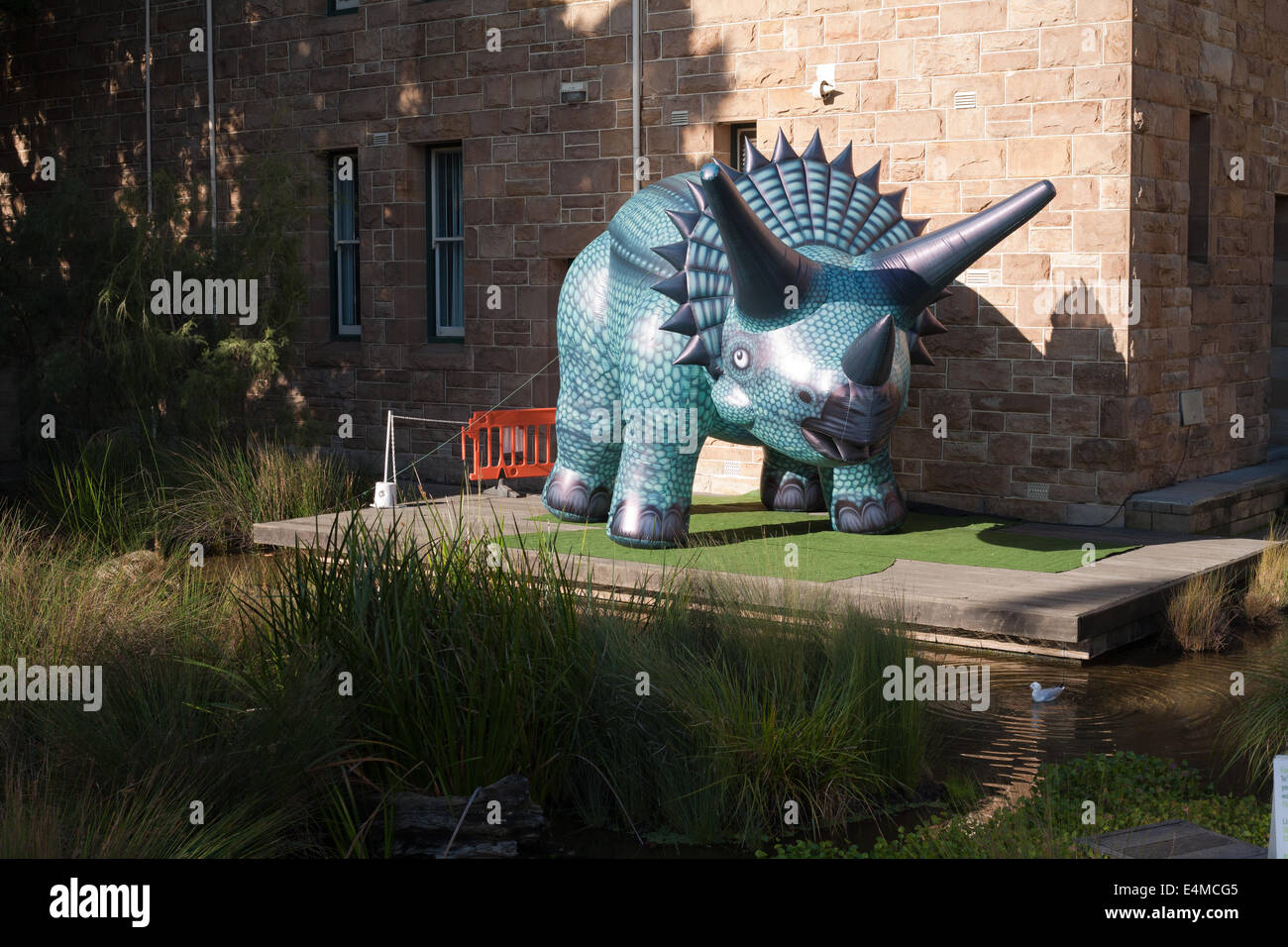 Inflatable blow up toy dinosaur being used to promote the Dinasour Discovery event at the Perth museum, Western Australia, 2014. Stock Photo