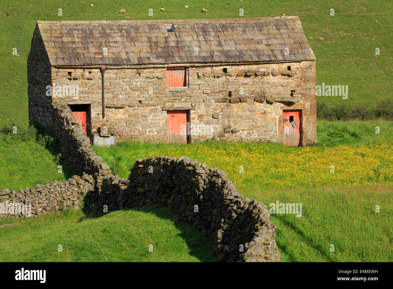 Stone barn with red doors, Swaledale, Yorkshire Dales Stock Photo