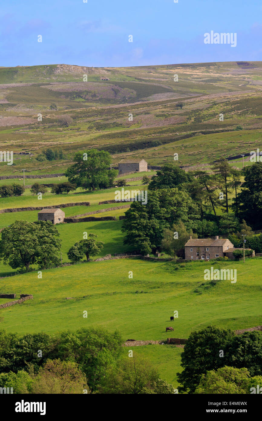 Fremington Edge and disused quarries above Reeth, Swaledale, Yorkshire Dales National Park Stock Photo