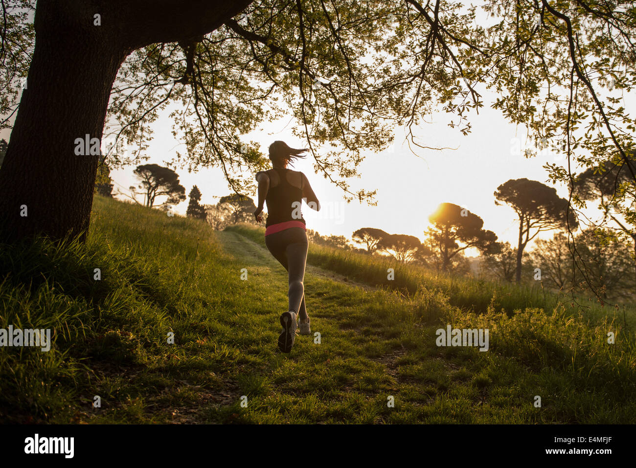 Silhouette running woman park hi-res stock photography and images - Alamy