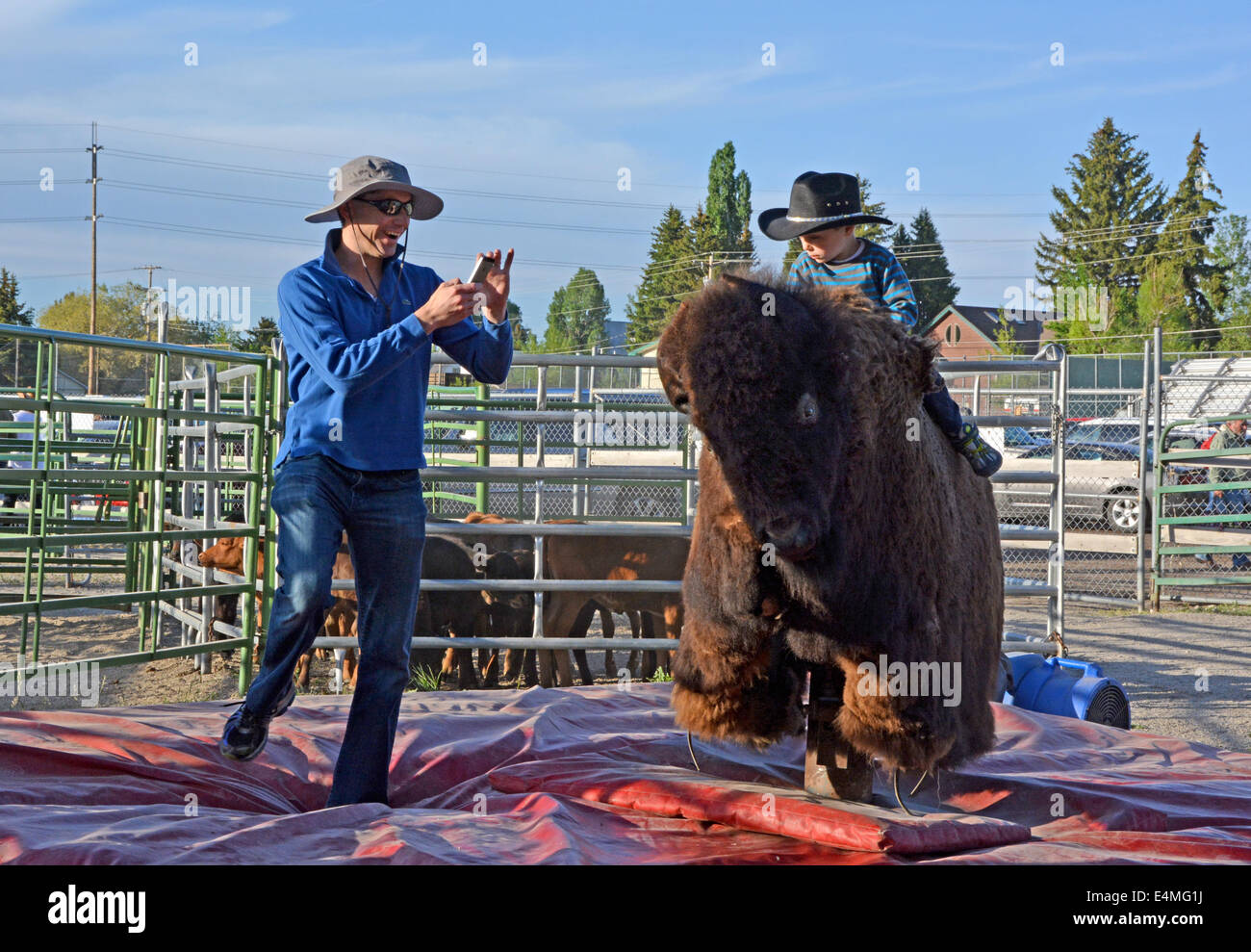 A father taking a photo of his son on a mechanical bison at the rodeo in Jackson Hole, Wyoming Stock Photo