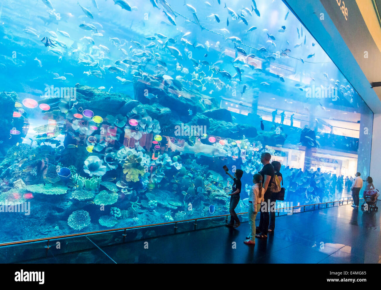 Viewing glass of the Dubai Aquarium, located in the Dubai Mall Stock Photo