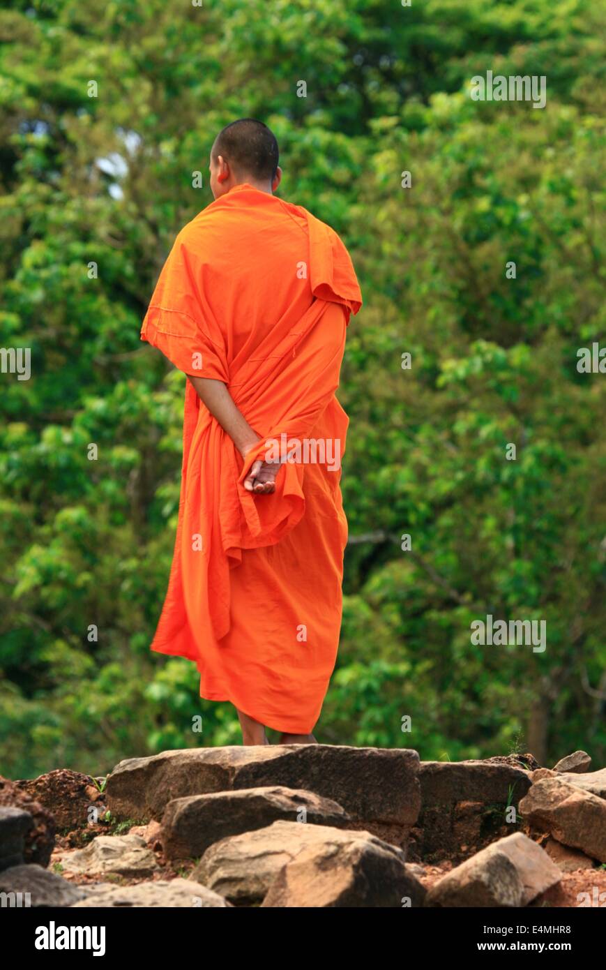 Buddhist monk orange robes hires stock photography and images Alamy