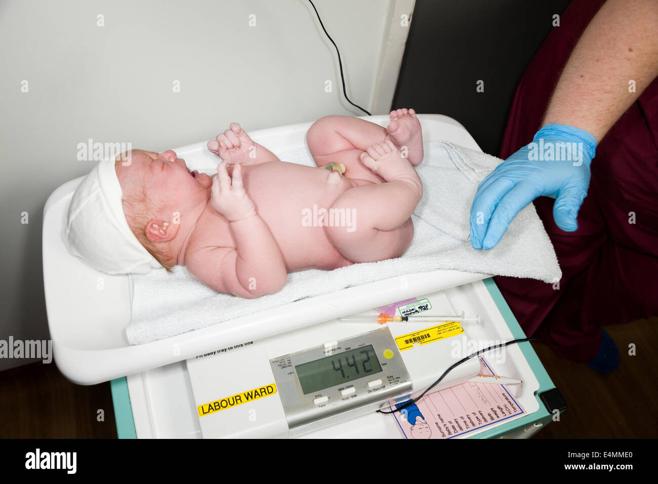Weighing a newborn / new born baby with weighing scales / scale soon after  childbirth / giving birth in an NHS hospital Stock Photo - Alamy