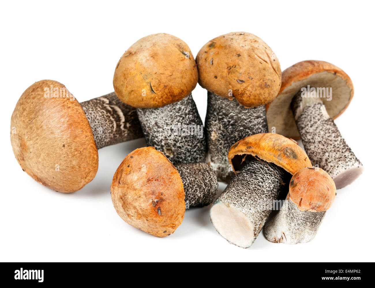 handful of mushrooms Stock Photo