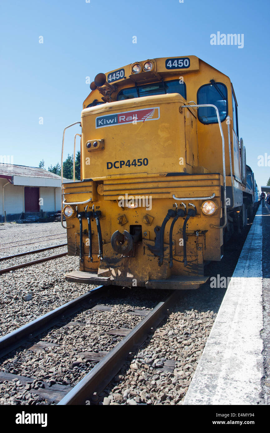 TranzAlpine Express in Springfield station Stock Photo