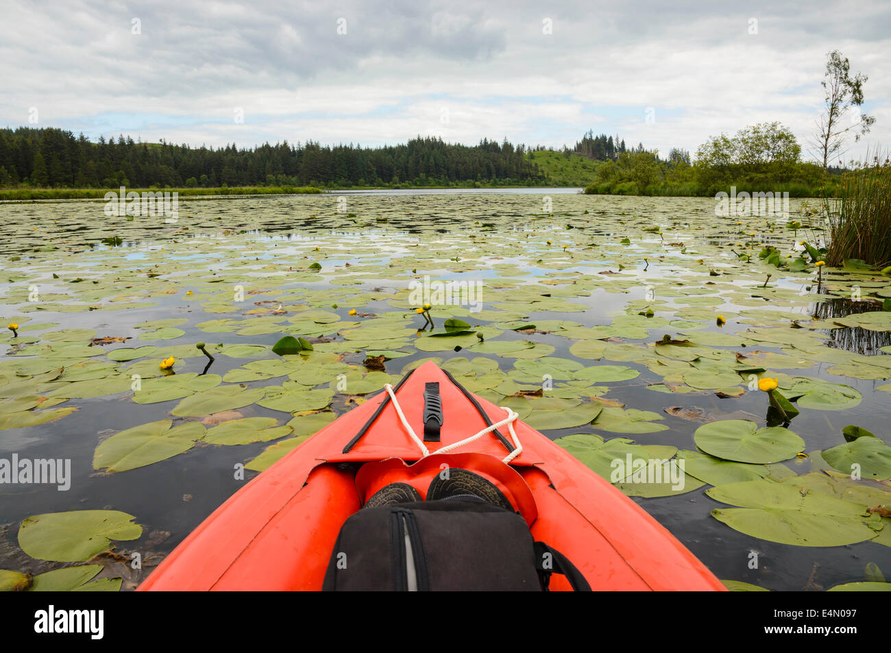 Canoeing on Stroan Loch, Galloway Forest, Dumfries & Galloway, Scotland Stock Photo