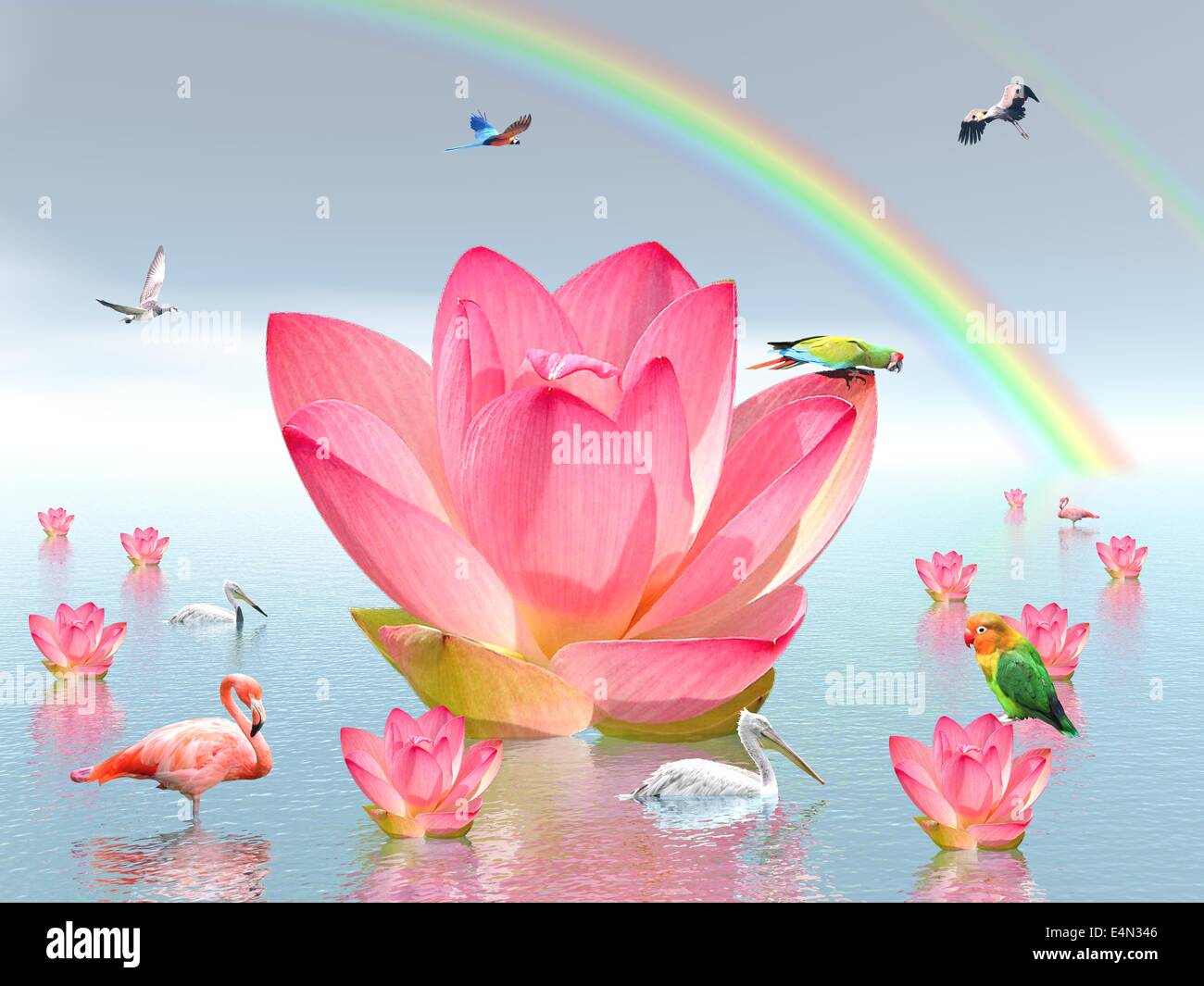 Lily flowers and birds  under rainbow Stock Photo