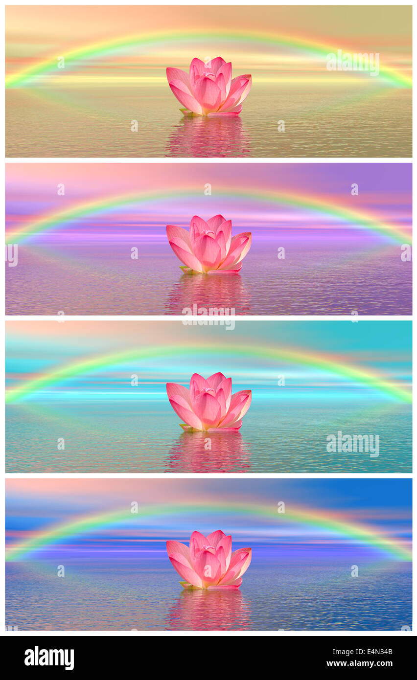 Lily flowers under rainbow Stock Photo