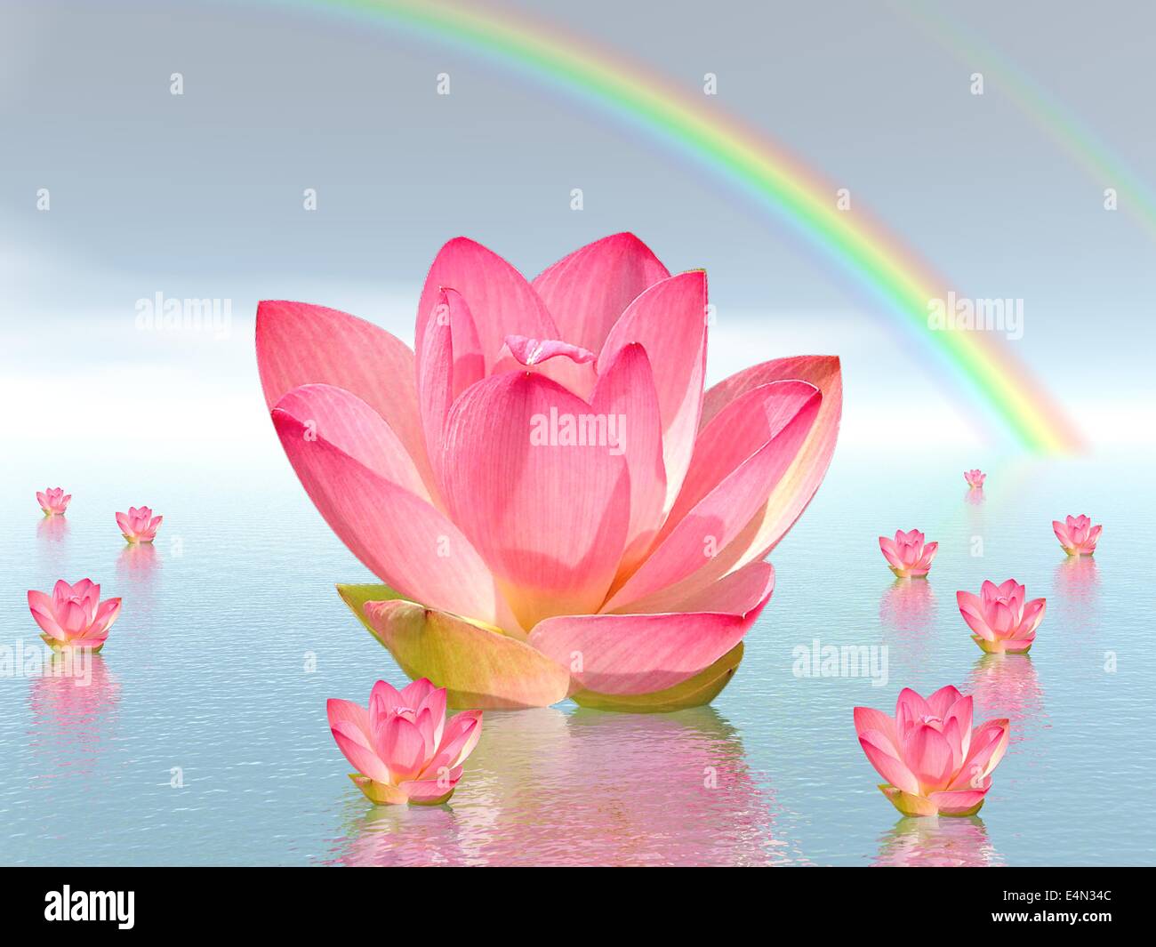 Lily flowers under rainbow Stock Photo