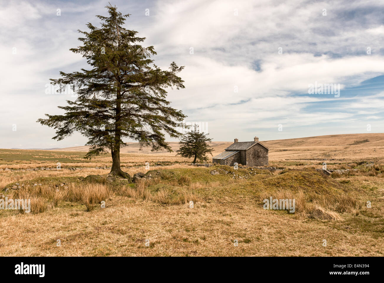 Nun's Cross Farm on Dartmoor on a very dry sunny day Stock Photo