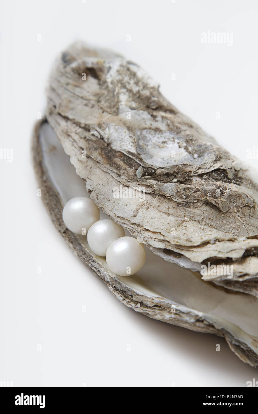 Pearl and oyster Stock Photo