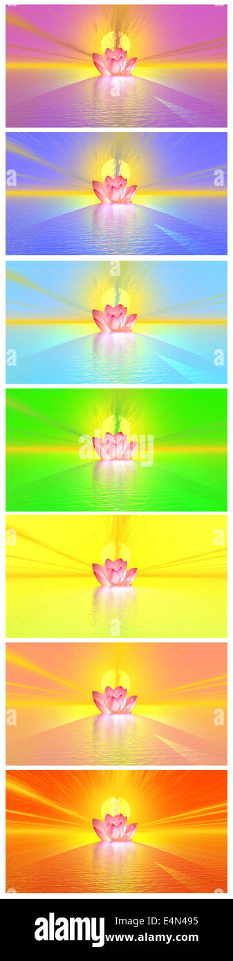 Chakra colors of lily flower under rainbow Stock Photo