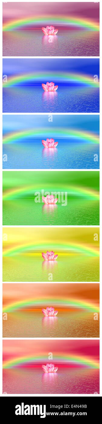 Chakra colors of lily flower under rainbow Stock Photo