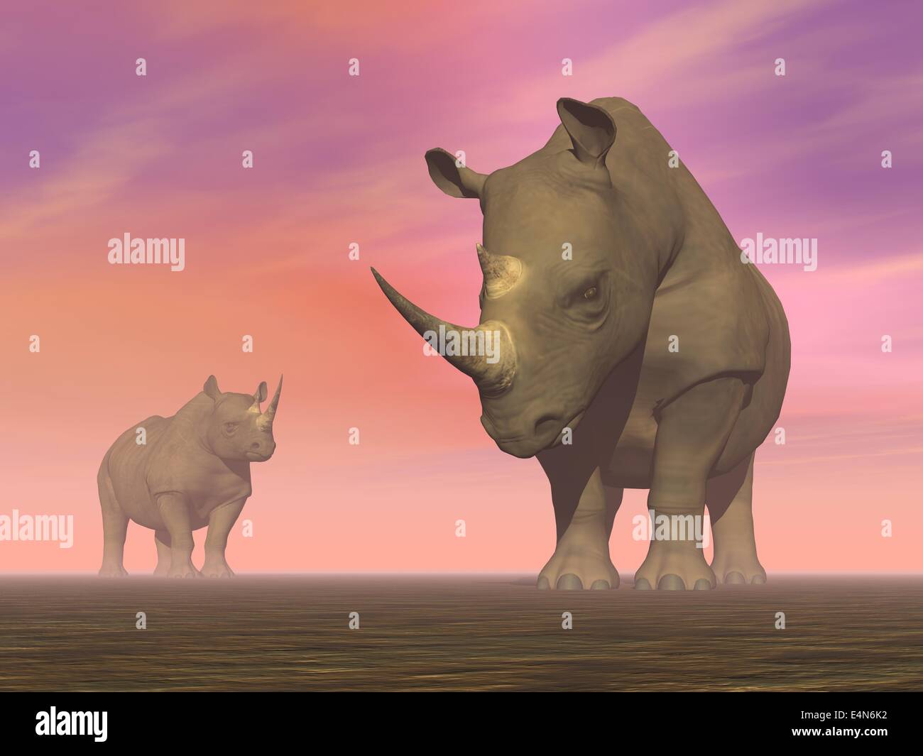 Two rhinoceros hi-res stock photography and images - Alamy
