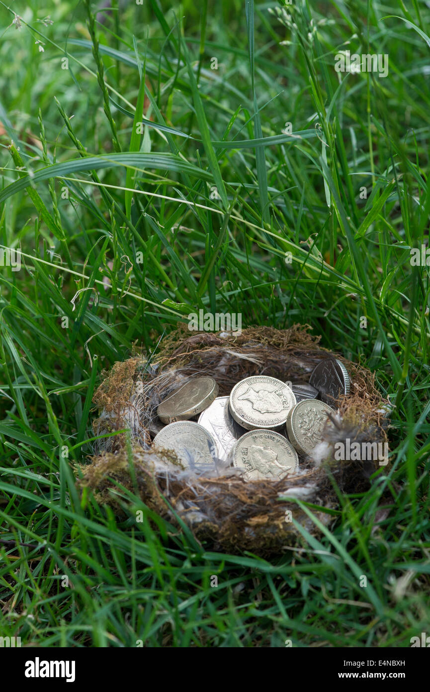 English Coins in a birds nest on grass Stock Photo