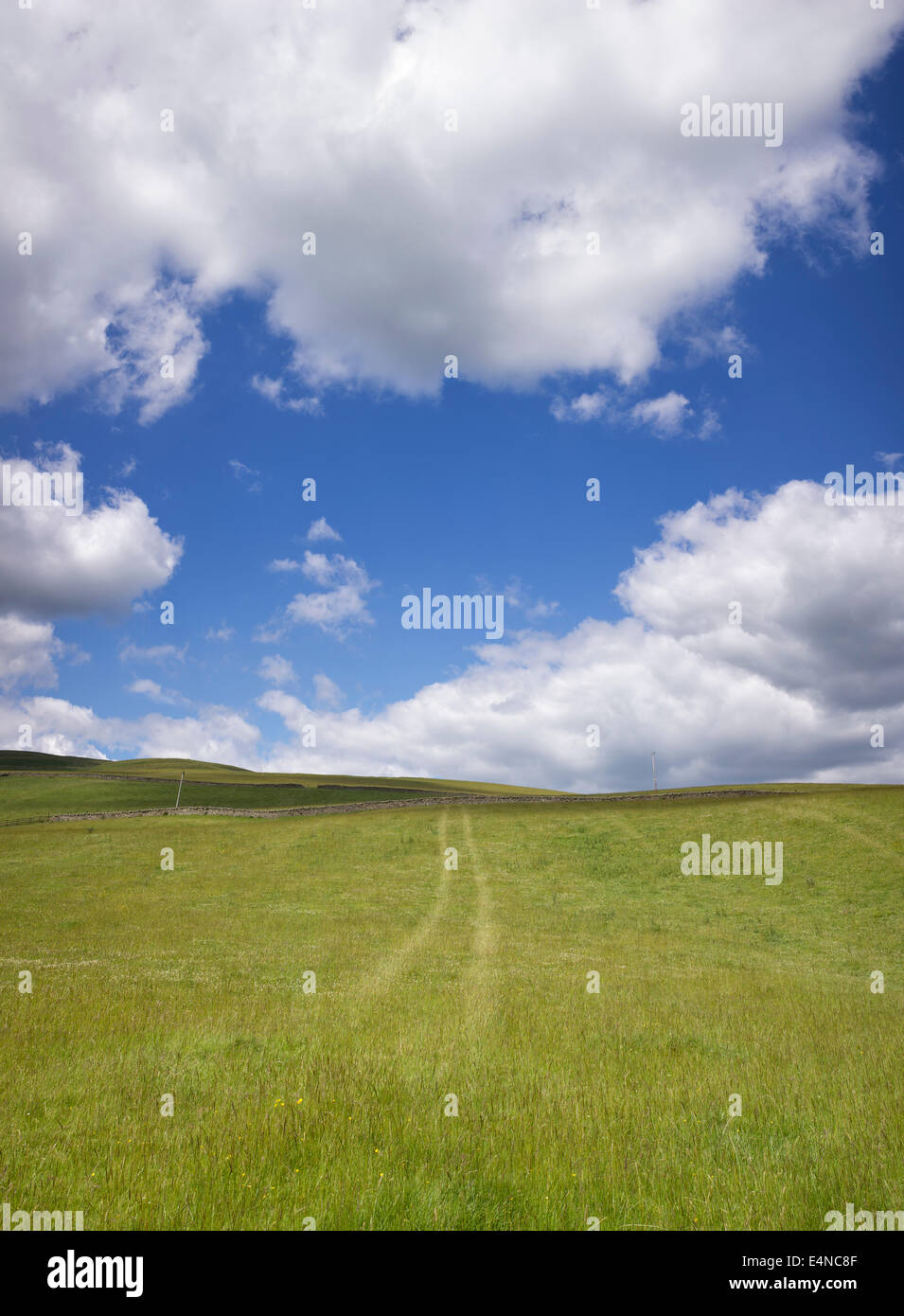 Tractor tracks on a grass field against a cloudy blue sky in the Scottish borders Stock Photo