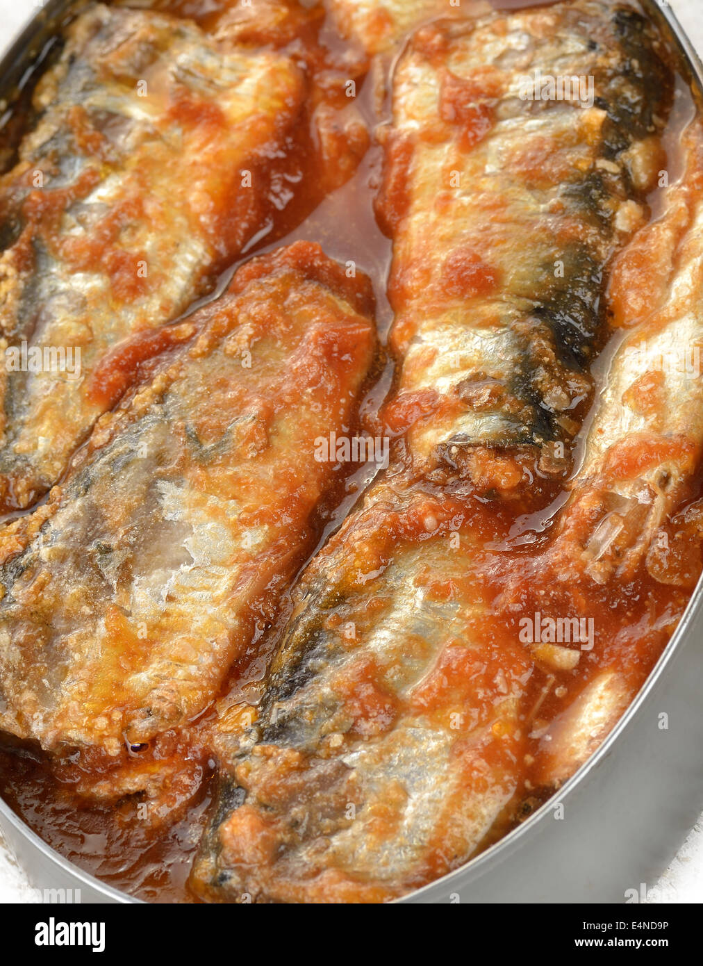 Tinned Sardines In Tomato Sauce Stock Photo Alamy