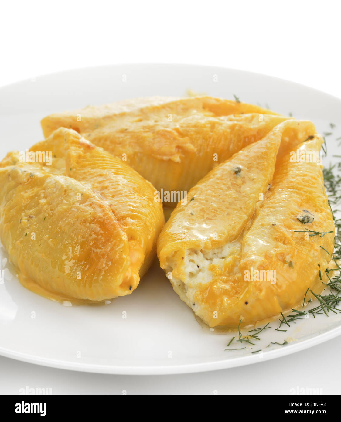 Pasta Shells Filled With Cheese Stock Photo Alamy