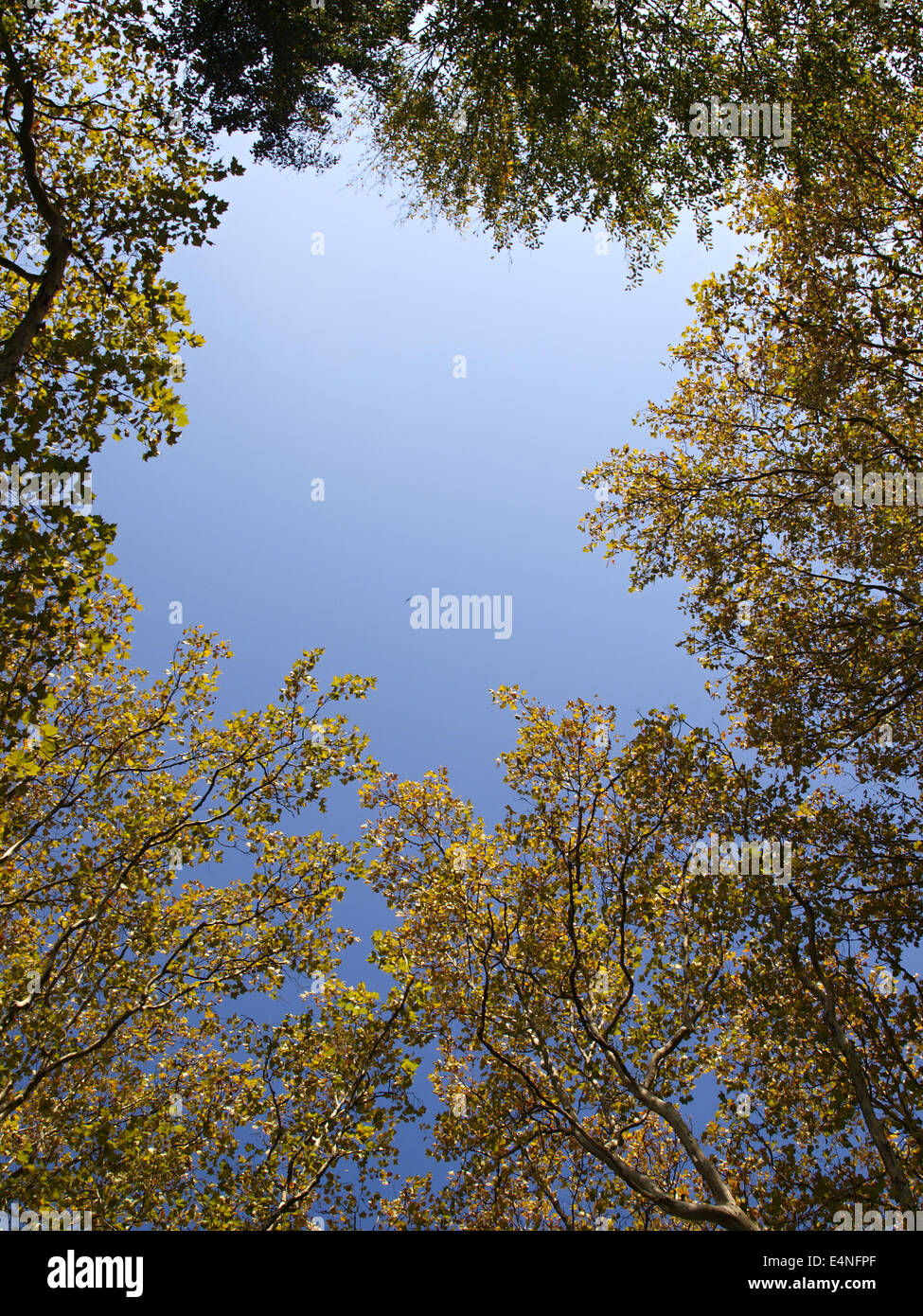 window to heaven Stock Photo - Alamy