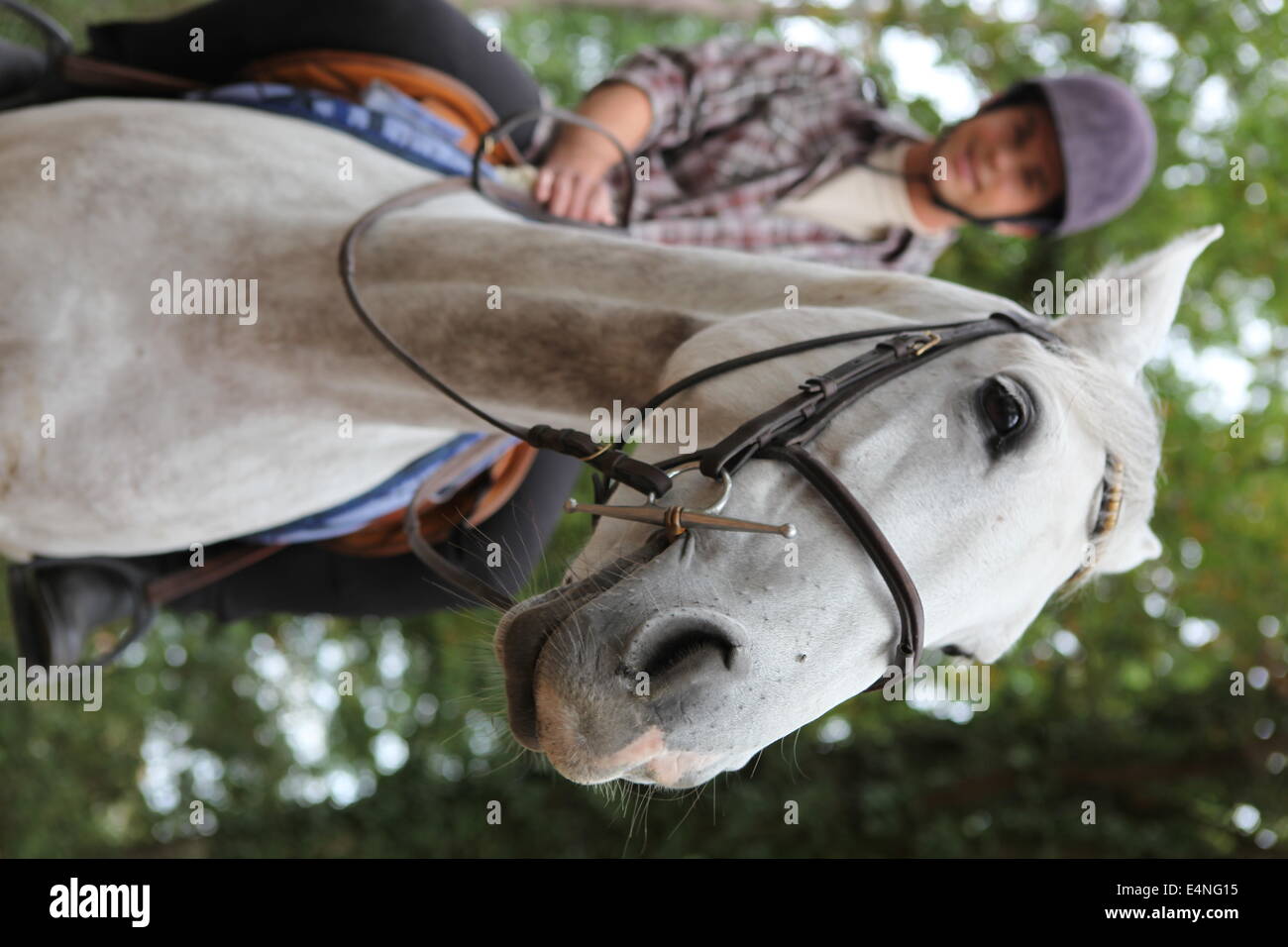 Landscape image of teenager riding horse Stock Photo