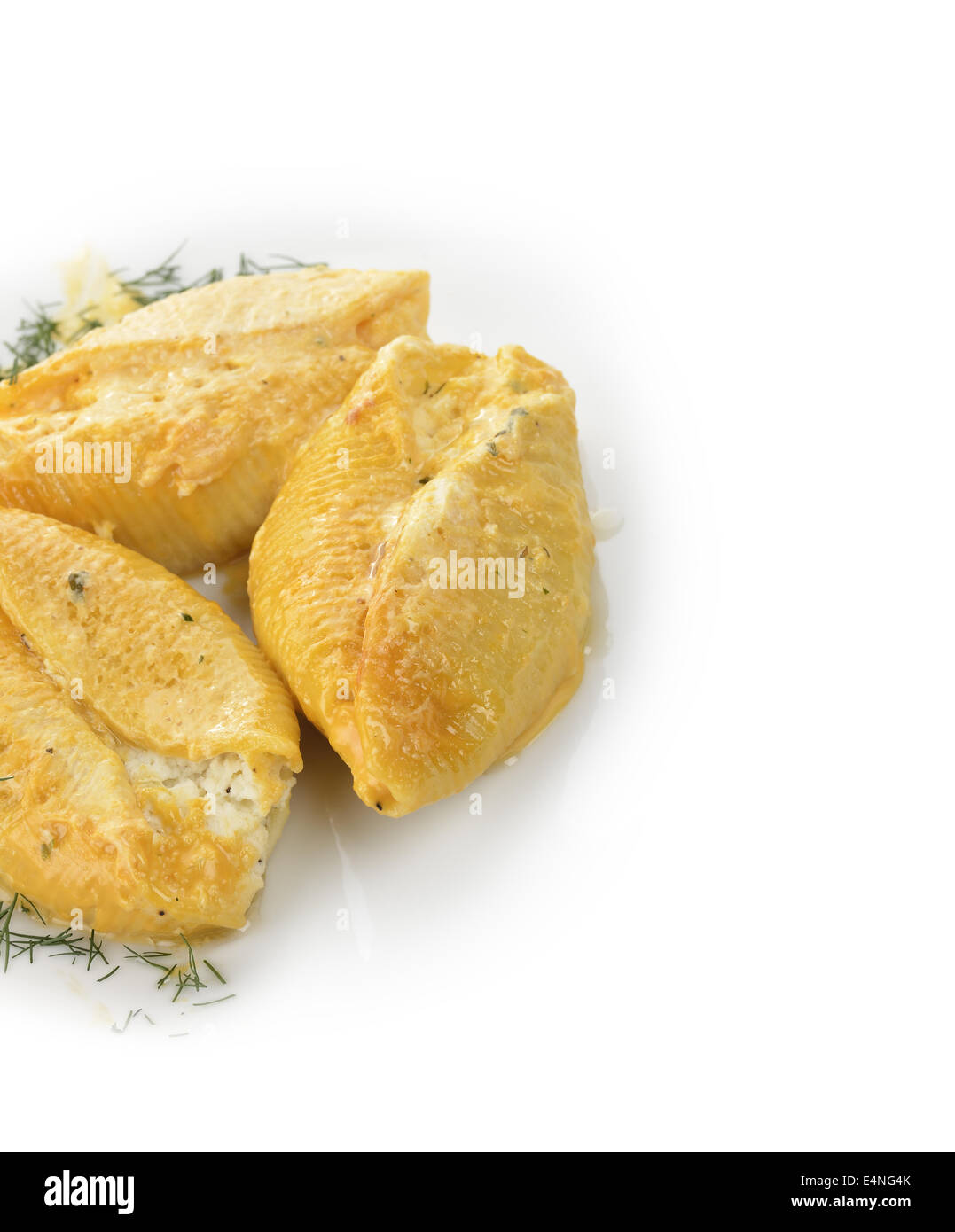 Pasta Shells Filled With Cheese Stock Photo Alamy