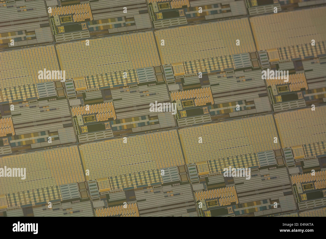 Macro-photo of microcircuit chips on silicon wafer. Digital technology concept, micro circuits, tiny concept, silicon chips, microchip shortage. Stock Photo