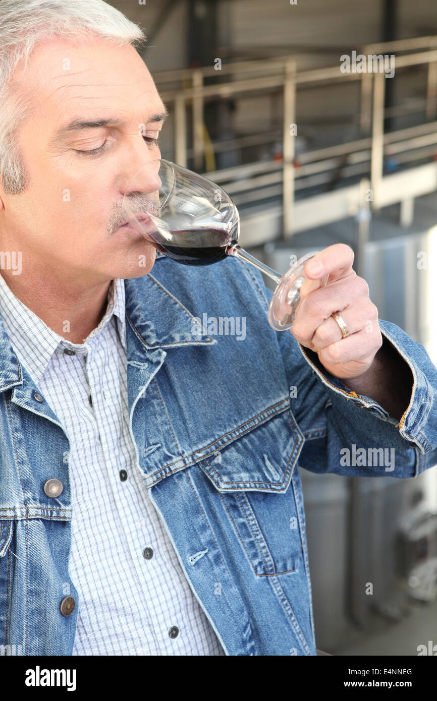 Man drinking wine in a cellar Stock Photo - Alamy