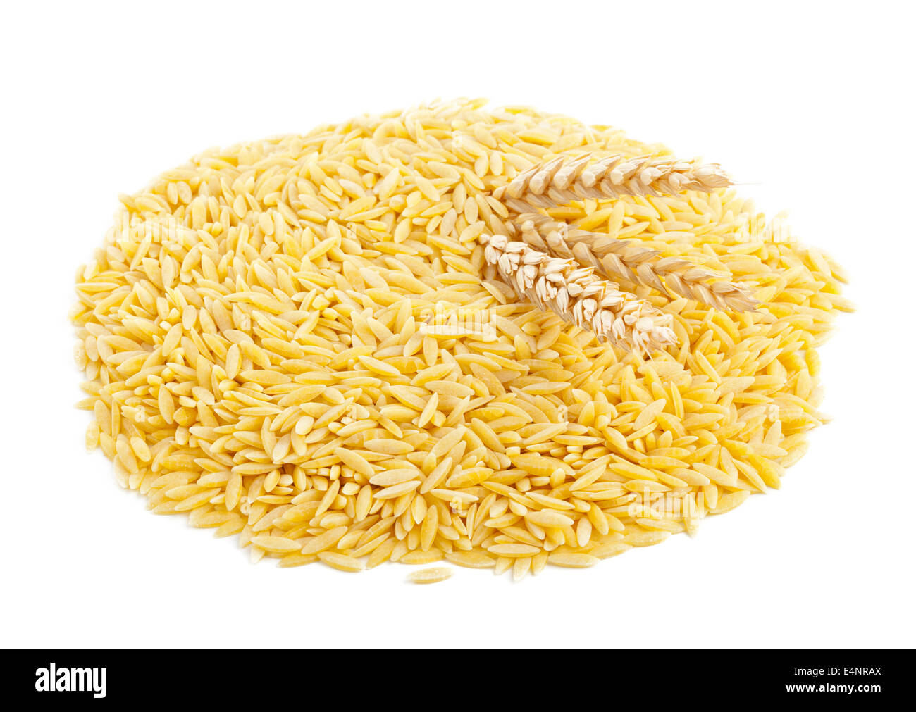 Heap of dried durum wheat, also hard wheat or macaroni wheat, with wheat ears over white background Stock Photo