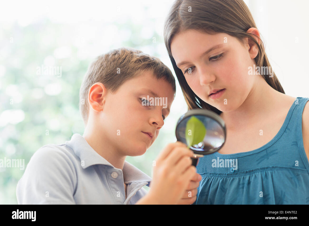 Boy and girl (8-9, 10-11) looking through magnifying glass Stock Photo