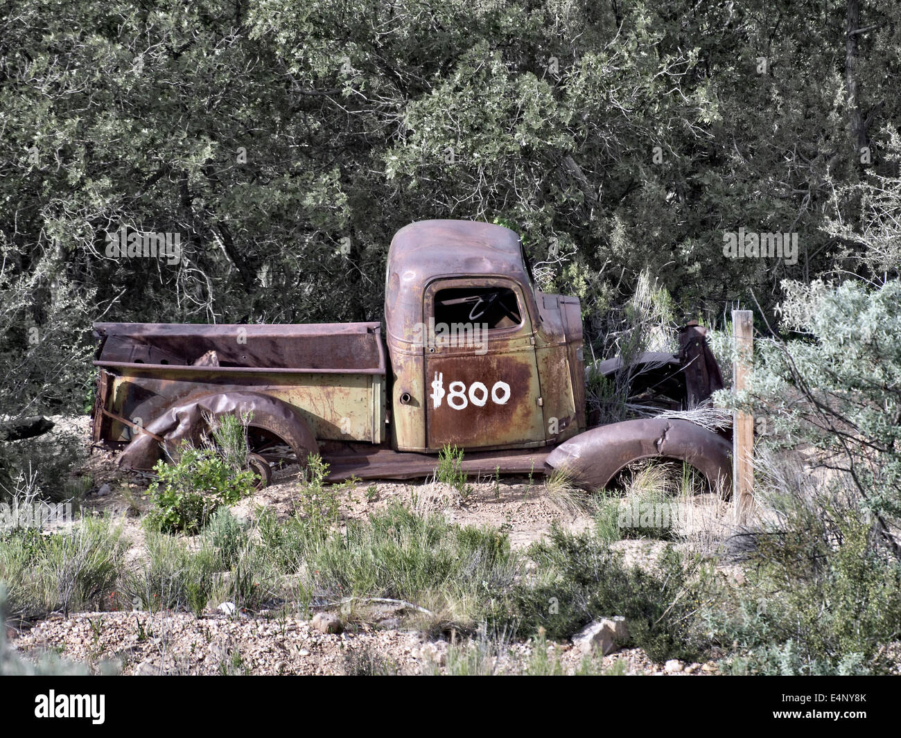 $800  wrecked pick up truck in the desert near Tropic Utah USA Stock Photo