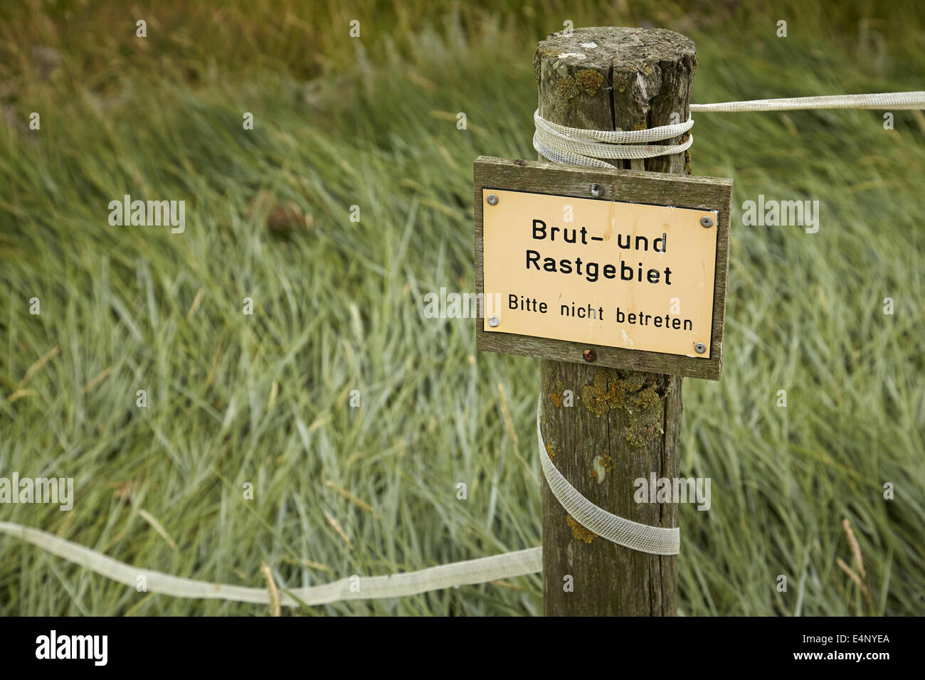 Breeding and resting area, sign of the bird sanctuary Hooge  Brut- und Rastgebiet, Markierung der Vogelschutzzone, Hallig Hooge Stock Photo