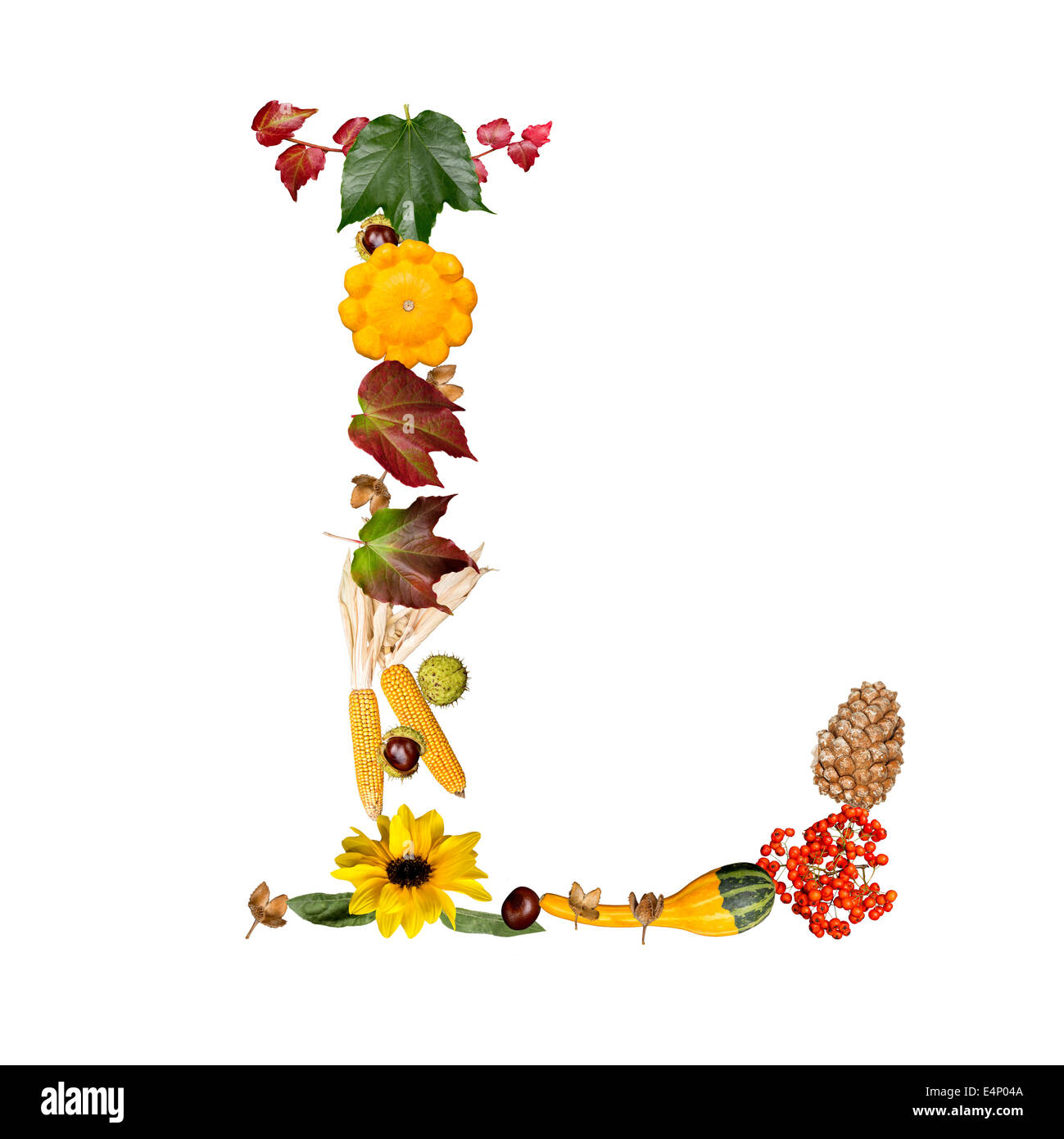 isolated Alphabet with autumn symbols Letter L Stock Photo