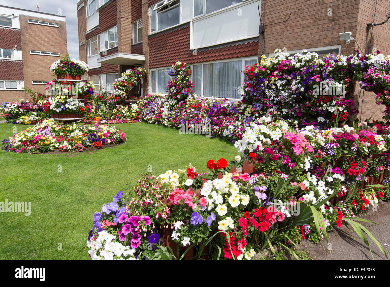 Brightly coloured flowers in a garden at a block of flats in Solihull, UK Stock Photo