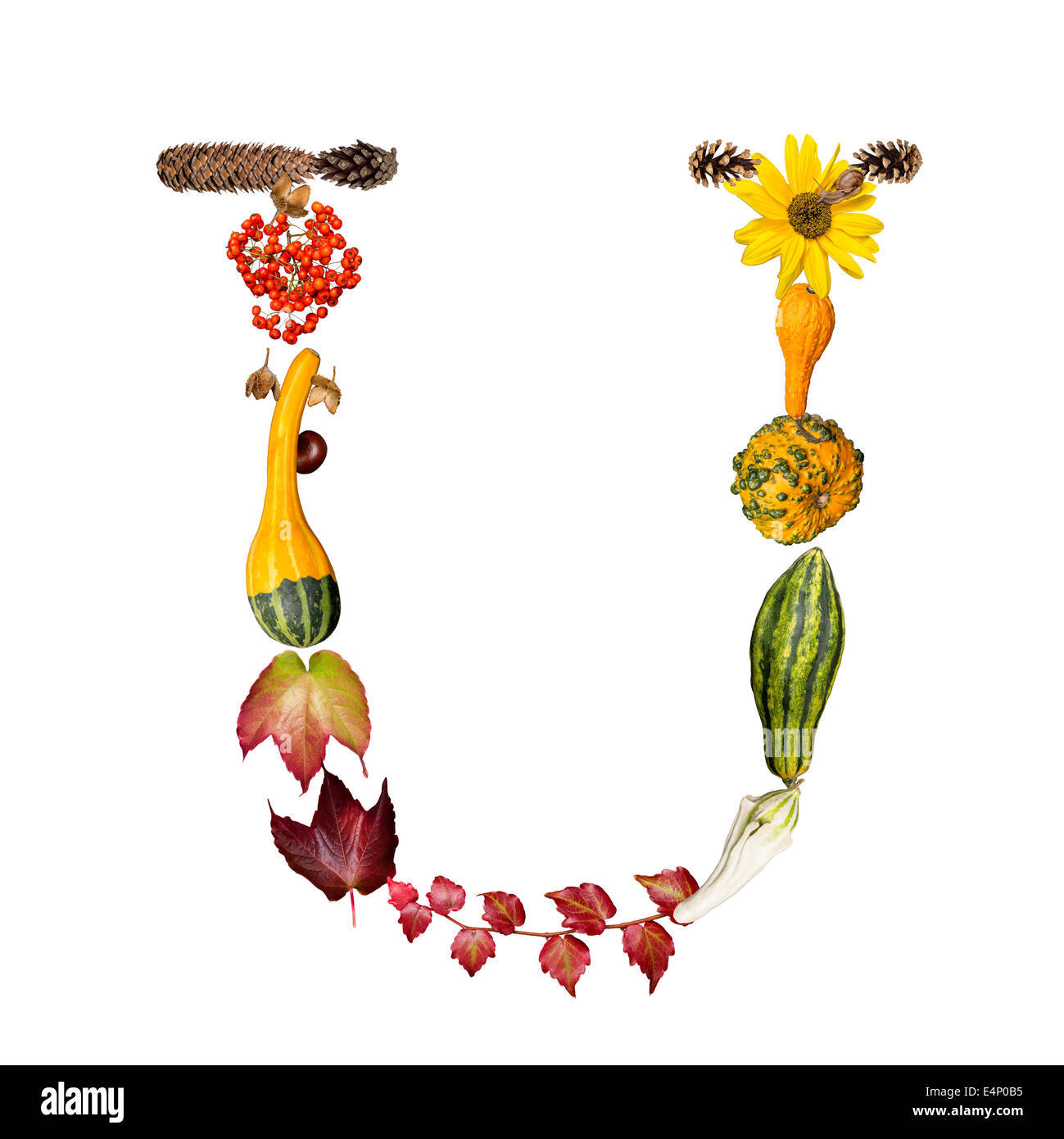 isolated Alphabet with autumn symbols Letter U Stock Photo - Alamy