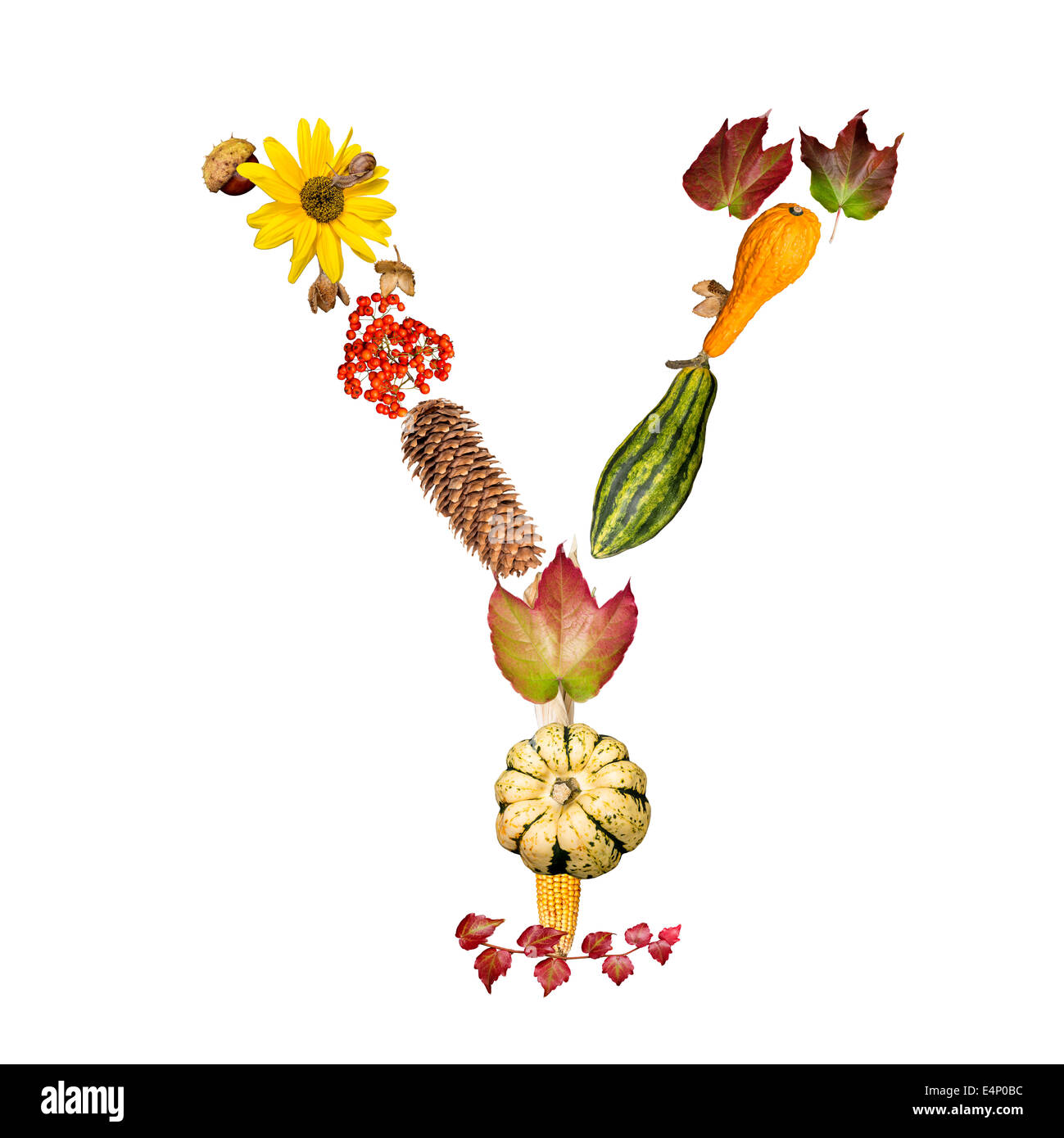 isolated Alphabet with autumn symbols Letter Y Stock Photo