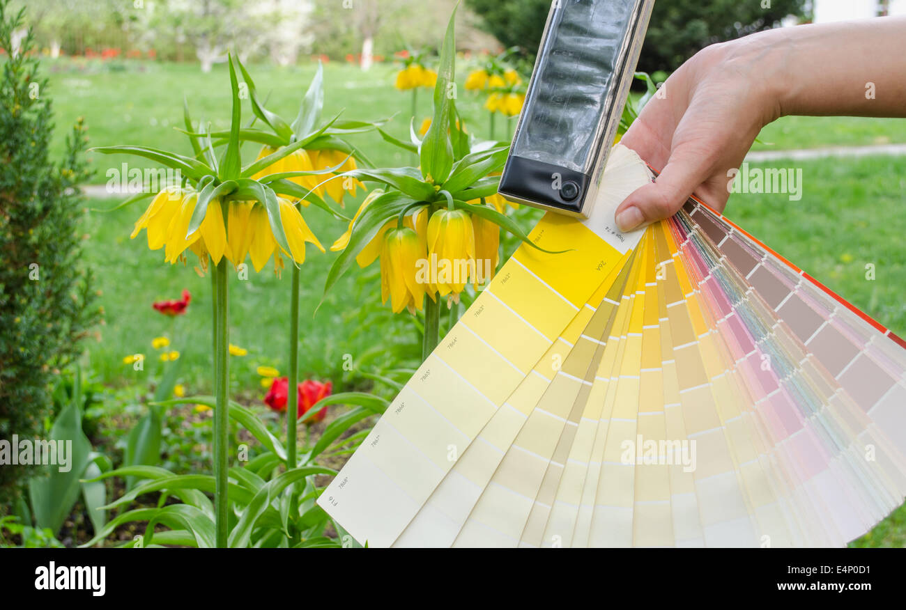 Pastel warm tone color palette hires stock photography and images Alamy