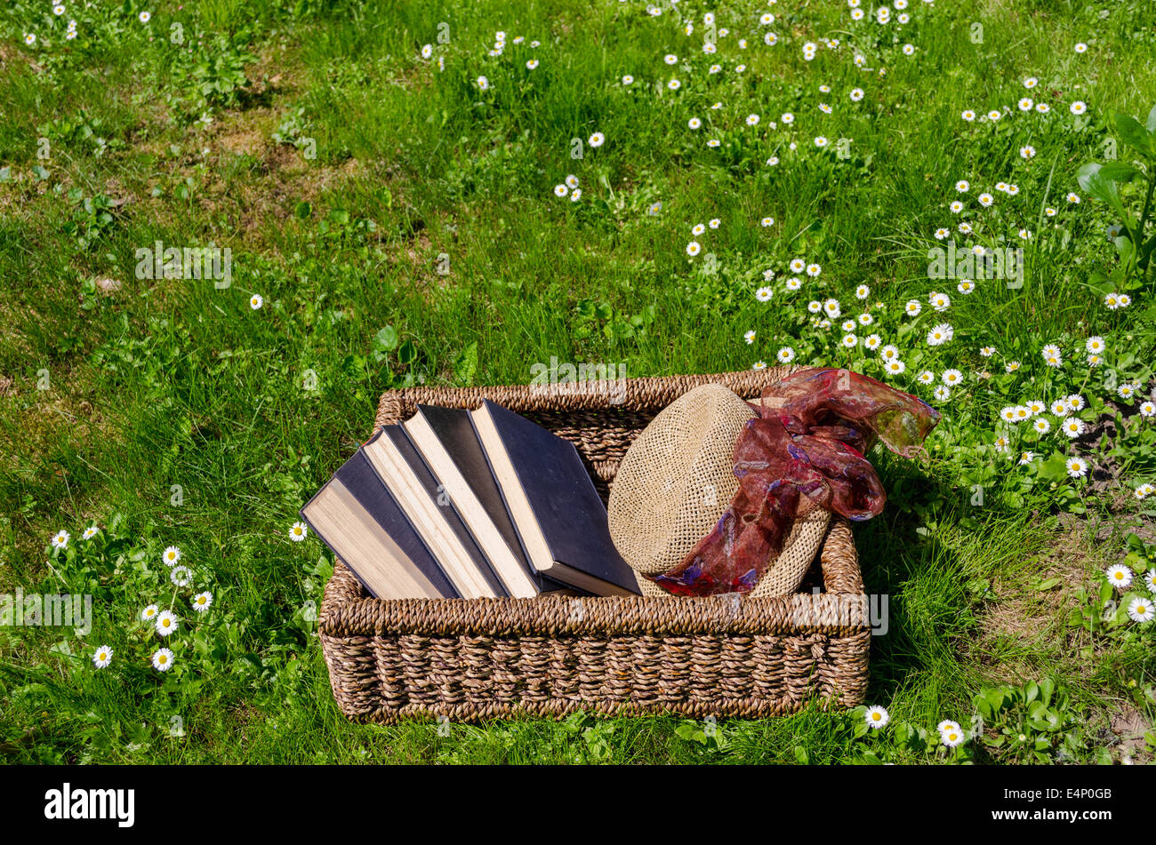 Wicker basket full of books between lawn and daisy flowers and retro hat. Stock Photo