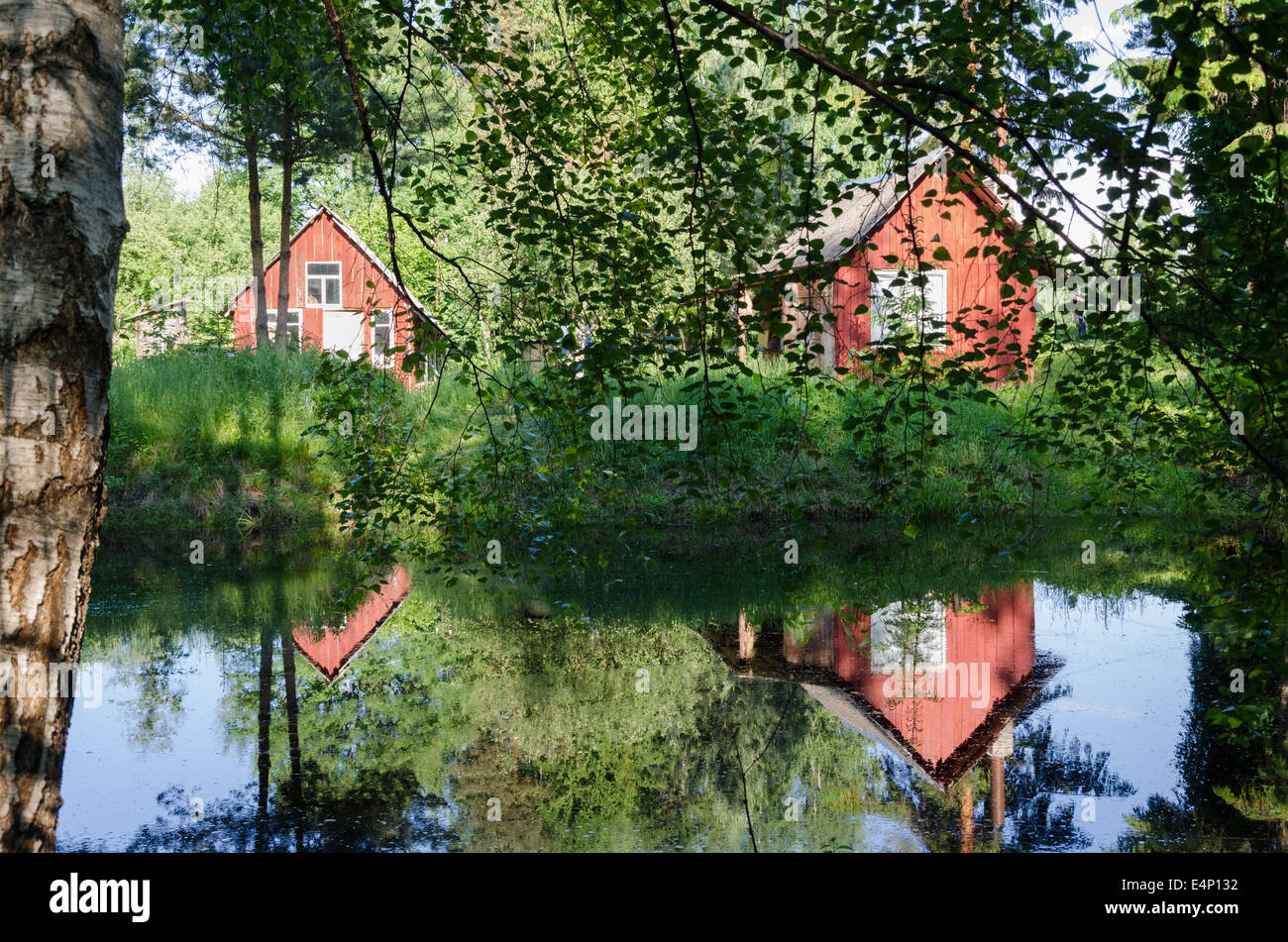 two small red rural home reflected through birch branches on pond Stock Photo