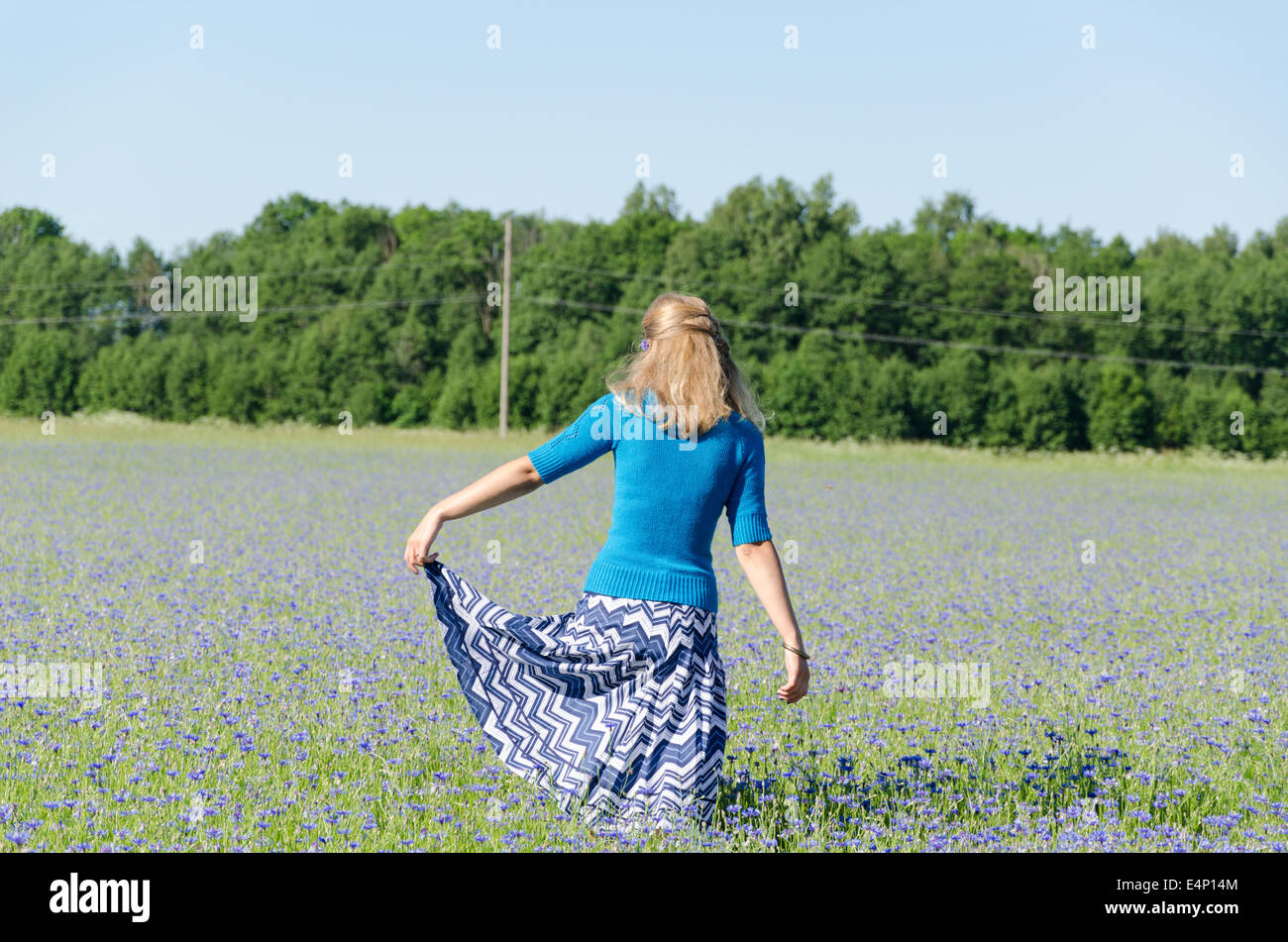 woman with wide blue skirt like the cornflower dance in meadow back view Stock Photo