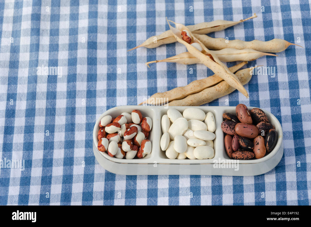 mix of winter dried organic beans on small three piece plate on plaid background Stock Photo