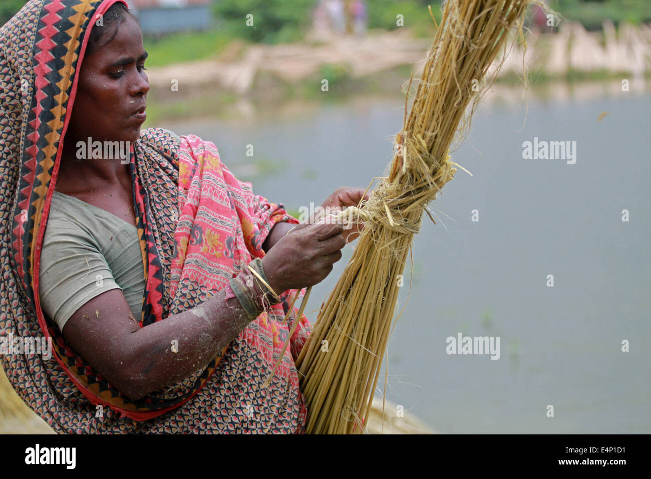 Jute process in bangladesh hires stock photography and images Alamy