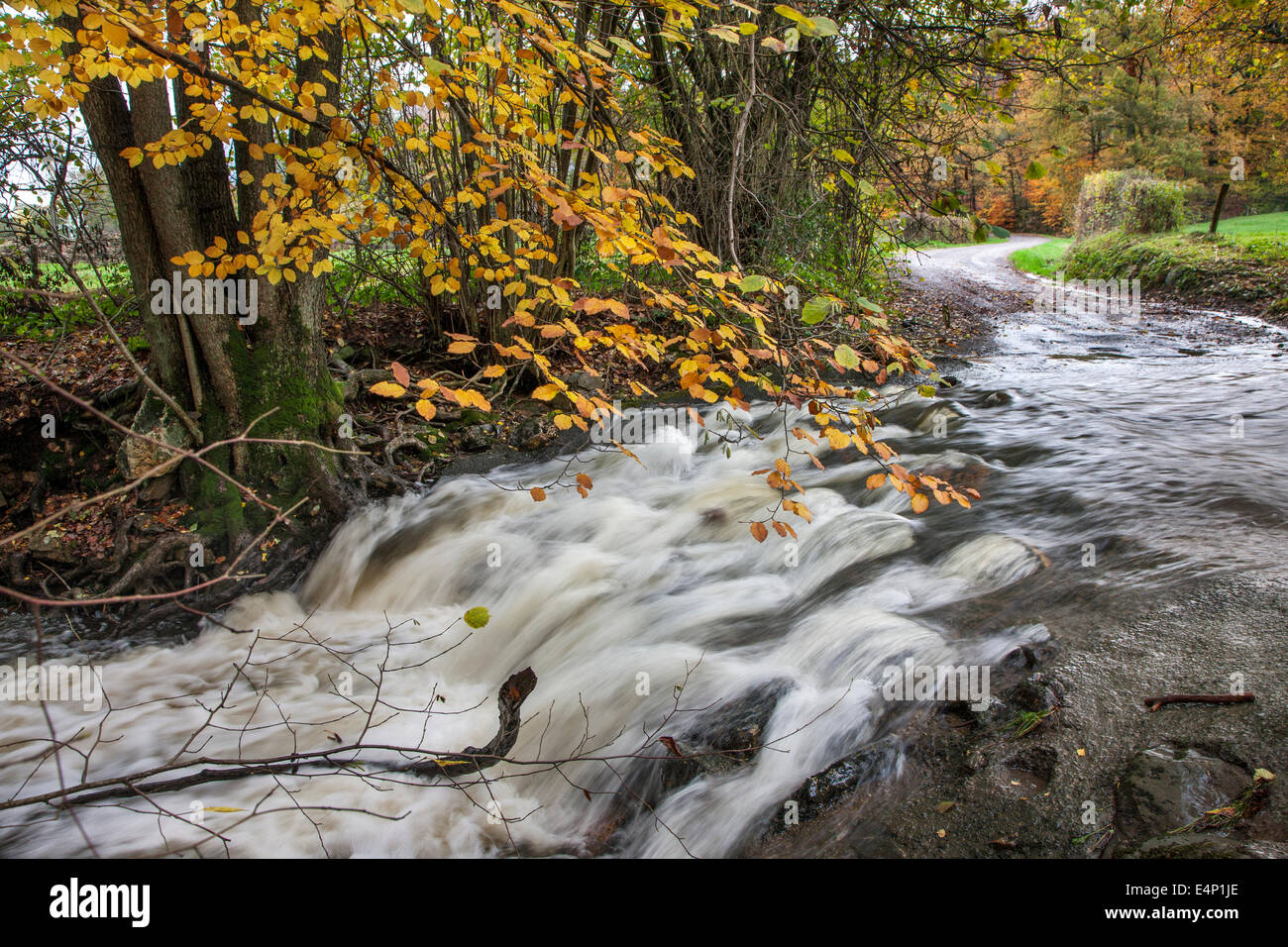 Ford in the Wayai, stream in the Belgian Ardennes, Belgium Stock Photo