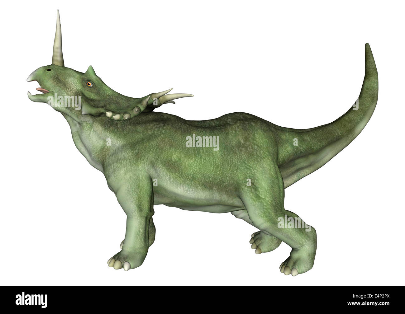 3D digital render of a dinosaur Styracosaurus or spiked lizard, a genus of herbivorous ceratopsian dinosaur Stock Photo