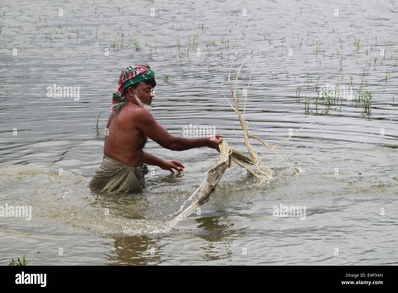 Jute Process In Bangladesh High Resolution Stock Photography and Images ...